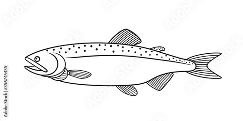 Humpback salmon outline. Isolated humpback salmon on white background