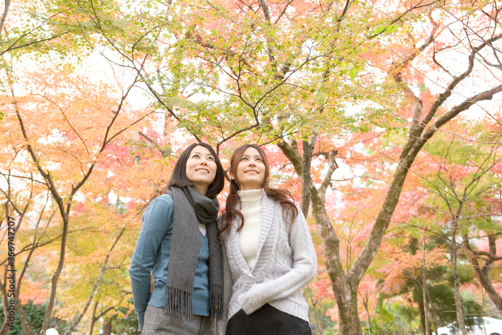 紅葉と女性2人 紅葉と女性2人