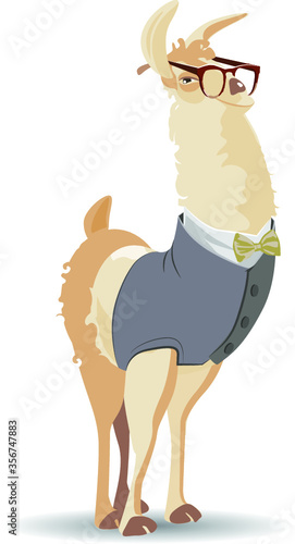 Cute lama elegantly dressed smiles at you