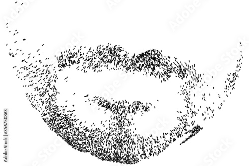 Vector illustration of black beard in transparent of a white background.