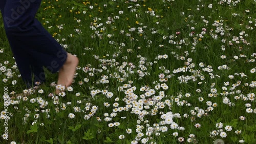 Foot fitness.Feet of a woman barefoot in a beautiful flowery meadow.The legs are walking on the ground in the grass in flowers.Russia