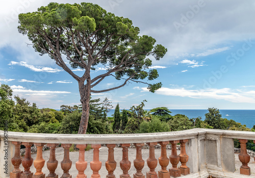 Panorama et paysage sur la baie des anges et le vieux Nice depuis la colline du château - Panorama and landscape of the Baie des Anges and old Nice from the castle hill