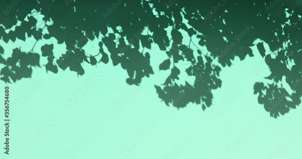 flower shadows on the surface of a turquoise blue wall - floral background with flat silhouettes for a wallpaper flower shadows on the surface of a turquoise blue wall - floral background with flat silhouettes for a wallpaper