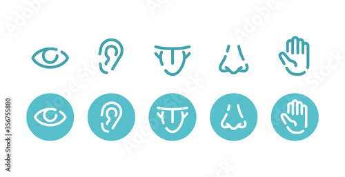 Five basic human senses - touch, sight, hearing, smell and taste - Sensing organs icons - eye, mouth, ear, nose and hand, medical icons collection - isolated vector set