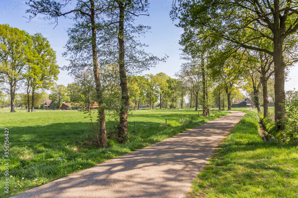 Country road in the landscape of Overijssel, Netherlands