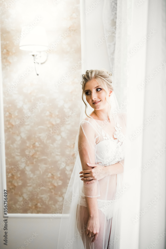 Luxury bride in white dress posing while preparing for the wedding ceremony Luxury bride in white dress posing while preparing for the wedding ceremony