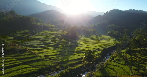 Beautiful green rice paddy field and terrace view at sunset, surrounded by mountains on Flores island, beautiful travel destination in Indonesia and Asia
