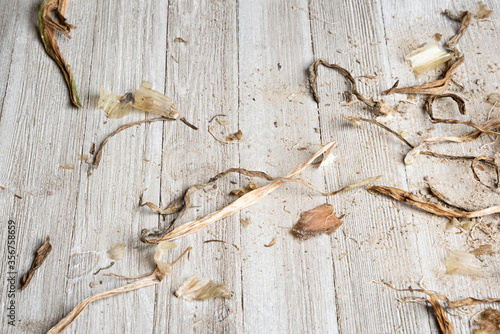 Earthy Texture Wood Panel Background