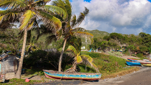 boat on a beach with palm