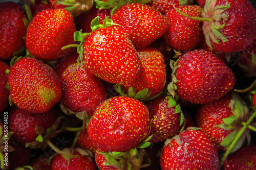 Red strawberries top view close up