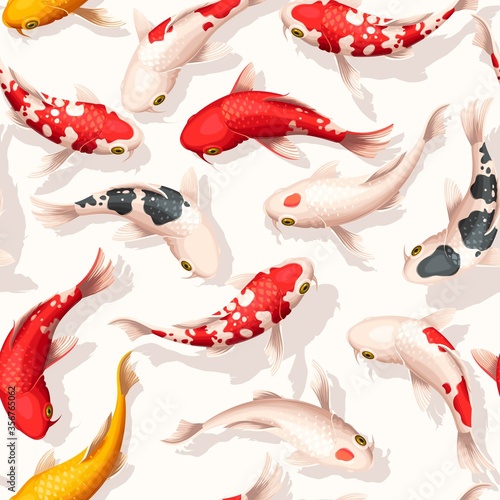 Beautiful vector seamless pattern with koi fish