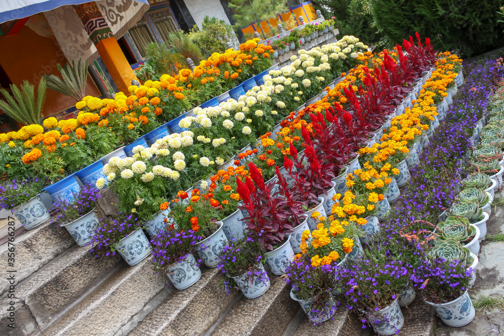 Norbulingka Summer palade of Dalai Lama in Lhasa, Tibet, flowers on steps different and colourful arranged