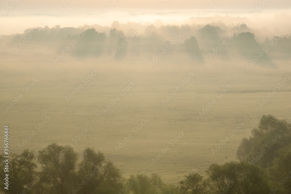 Fototapeta premium The fog in the first minutes of dawn in the floodplain of the river Beautiful Sword. Silhouettes of trees in the mist. Tula region. June 2020