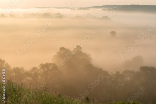 The fog in the first minutes of dawn in the floodplain of the river Beautiful Sword. Silhouettes of trees in the mist. Tula region. June 2020