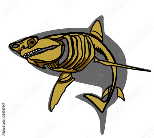 vector illustration of Great white shark skeleton AI
