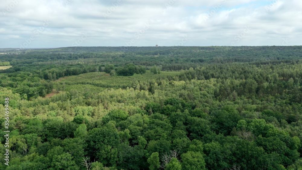 survol de la forêt de Rambouillet près de Versailles