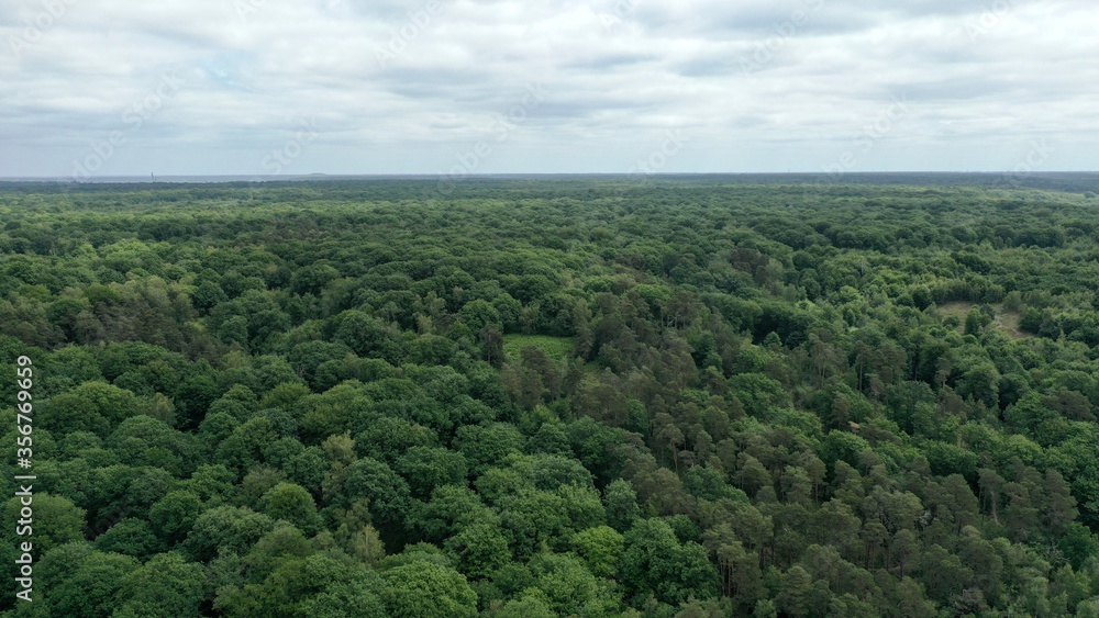 Fototapeta premium forêt de Rambouillet vue du ciel