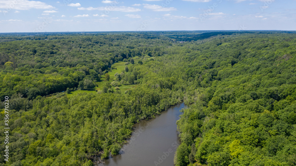 étangs de Hollande dans la forêt de Rambouillet près de Versailles