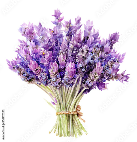 Bouquet of lavender flowers hand drawn watercolor illustration isolated on white background