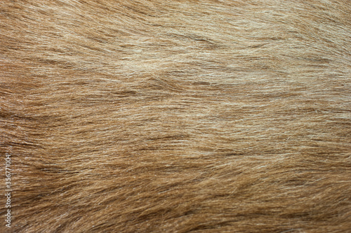 Texture of natural red fur