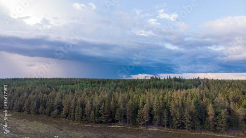 Aeiral view of forest and sump with clouds from drone