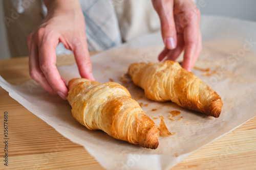 A woman is cooking croissants. Finished baking. Delicious traditional french crispy croissants for breakfast. Homemade bakery, cuisine for family. Girl chef work on kitchen table. Raw croissants