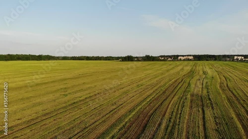 Wallpaper Mural Aerial shot, flight near yellow field on the background, belarus country, summer sunny day Torontodigital.ca