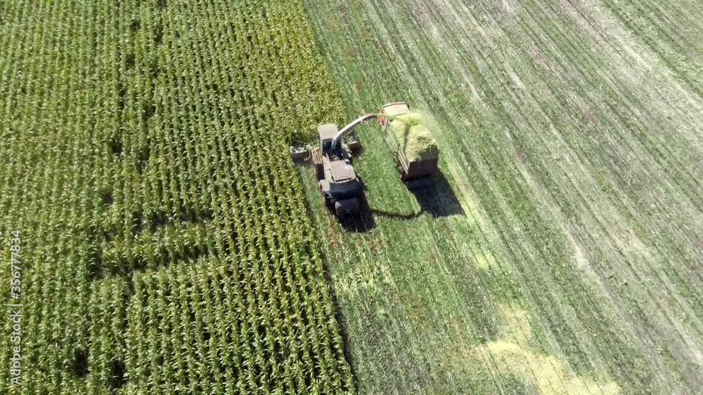 Tractors and farm machines harvesting corn in compound feed, aerial view. Tractors and farm machines harvesting corn in compound feed, aerial view.