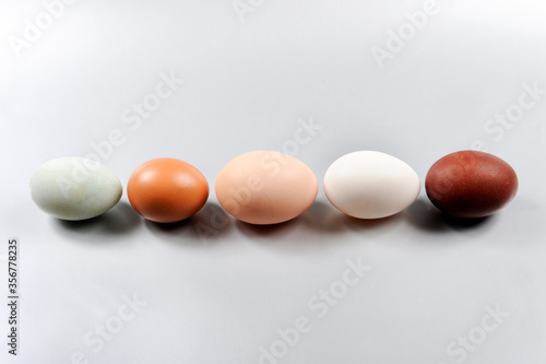 eggs, different colors of egg on white background from top