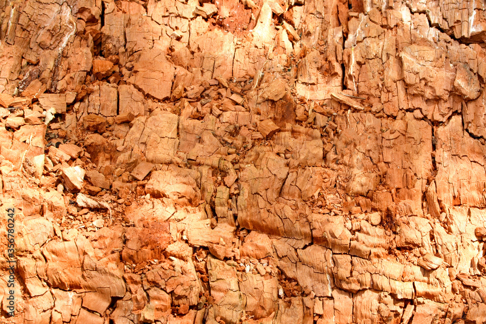 Background in the form of an old rotten tree trunk Background in the form of an old rotten tree trunk