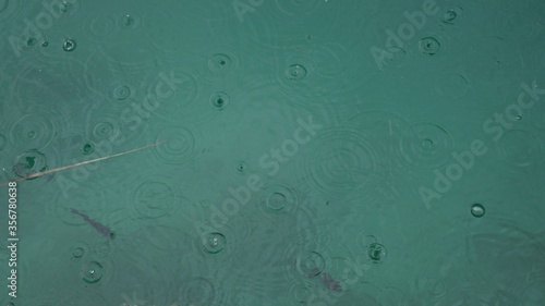 rain drops on the water