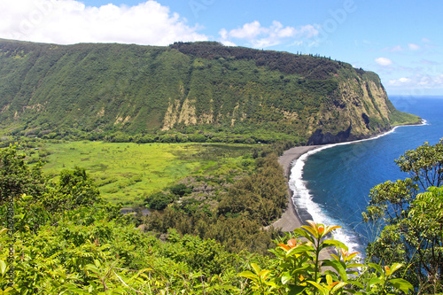 Waipio valley lookout in Big Island, Hawaii. The view on the beautiful lush green valley with black sand beach and dark blue sea. Huge cliff in the background, trees in the foreground. photo