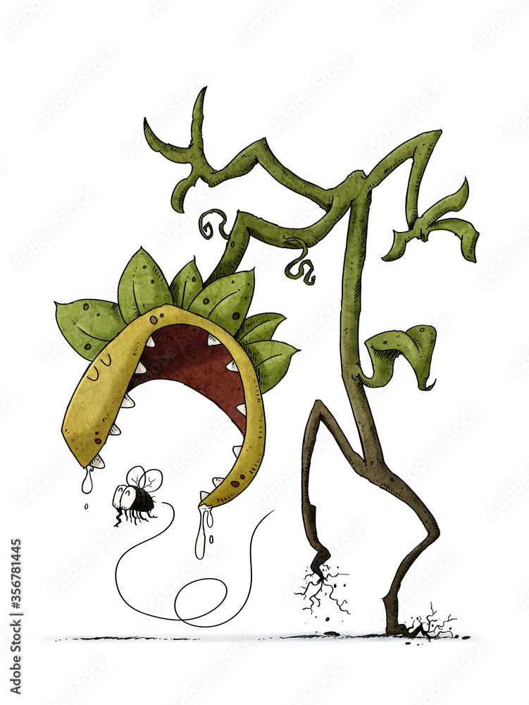 Fototapeta premium carnivorous plant walking behind a fly that is going to eat. funny illustration. isolated