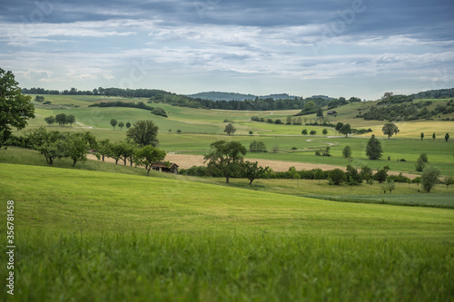 rural landscape with green grass and blue sky