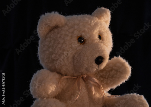 Close up of a teddy bear beautifully lit on black background. Rim light.