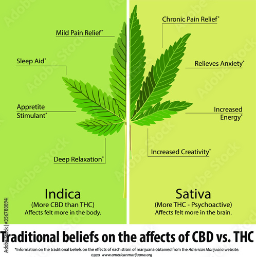 Vector illustration - Traditional beliefs of the affects of the Indica vs. Sativa strains of marijuana comparison chart