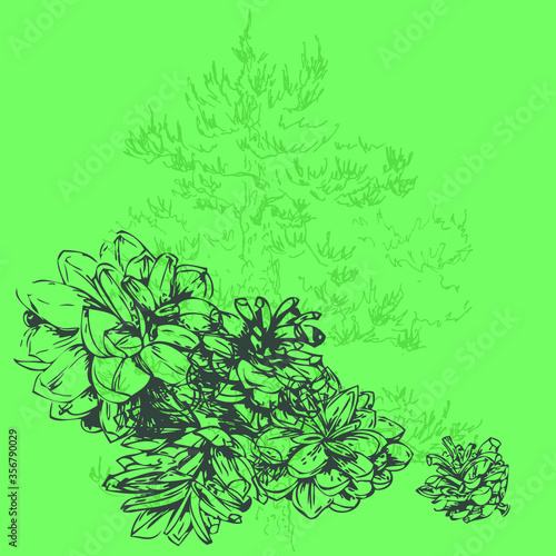 Simple and elegant floral decorative elements made of graphical sketch of pine cones and pine tree. Botanical design for wedding cards and decorations. Pine cones group. Set of pinecones. Lineart