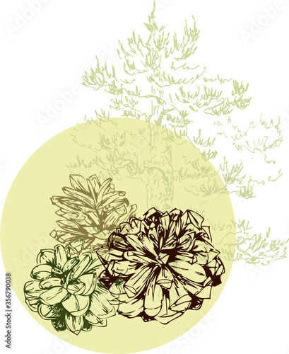 Simple and elegant floral decorative elements made of graphical sketch of pine cones. Botanical design for wedding cards and decorations. Grapical pine cones groups. Wreath. Set of pinecones. Lineart