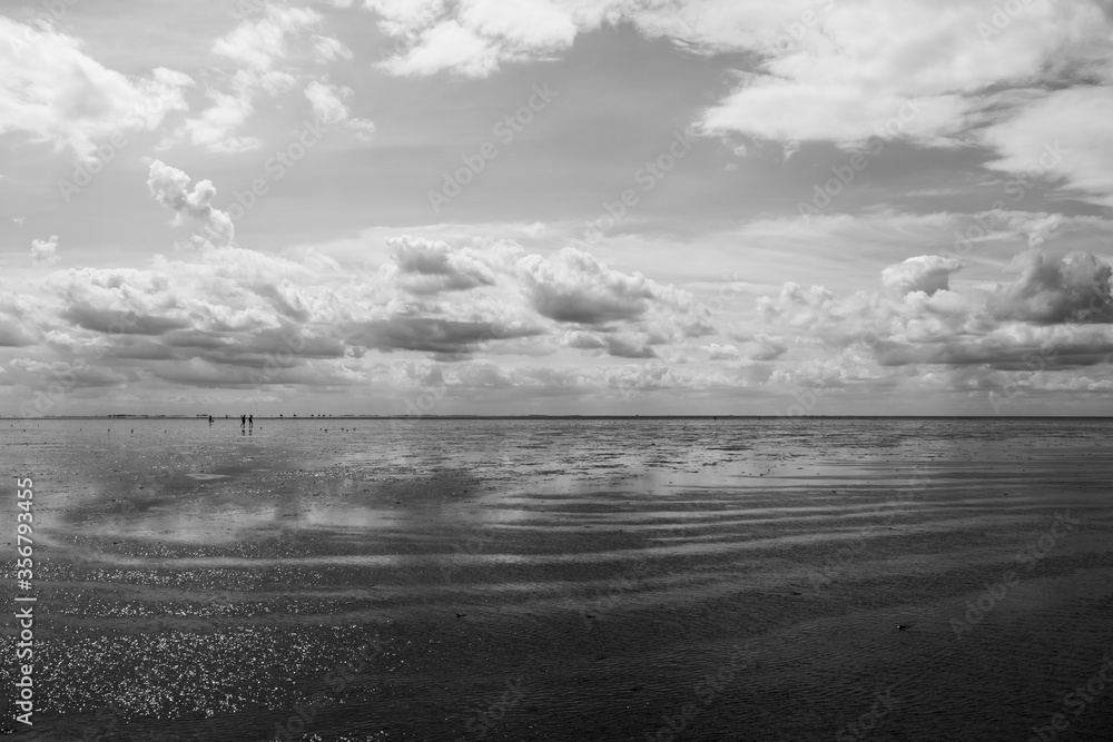 black and white image of summer beach