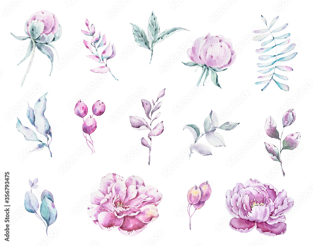 Elegant floral summer flower and leaves clipart. Hand painted flowers, twigs, berries. Can be used for sticker, pattern, wedding invitation, fabric, wallpaper, packaging, wrapping paper, scrapbook