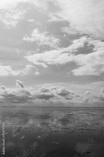 black and white image of summer beach