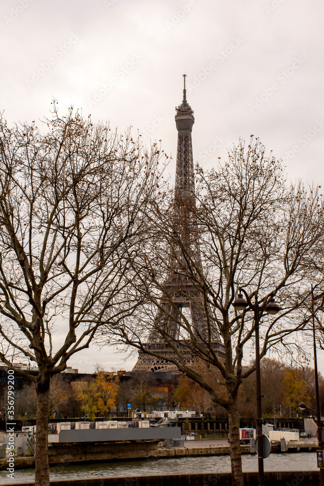 eiffel tower in paris during the winter