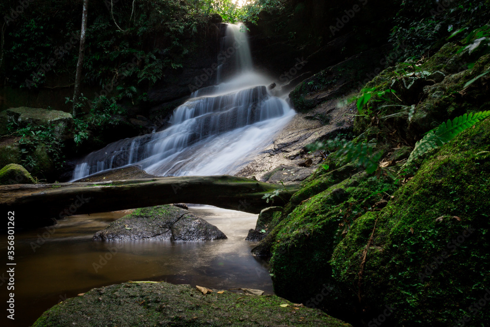 Obraz premium waterfall in the forest