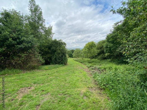 View looking down Heaton Woods, on a cloudy day in, Bradford, Yorkshire, UK