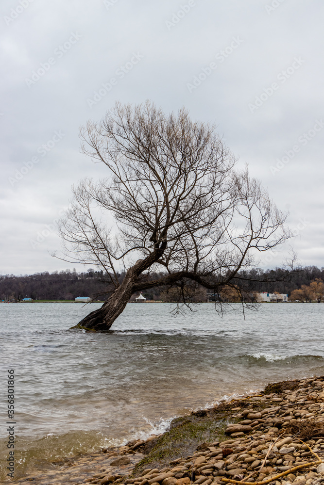 The Summerfolk tree at Kelso Beach being flooded by high water on the Great Lakes in Owen Sound, Ontario, Canada