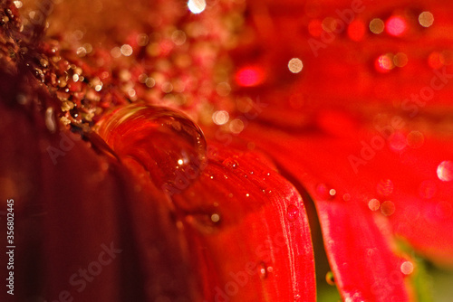 red water drops