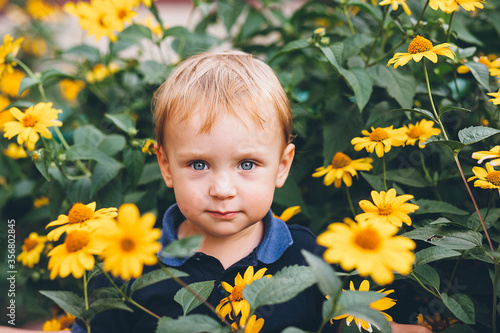 The handsome toddler stands among the tall yellow flowers and stares intently into the frame. 