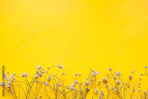 Yellow background  with flowers