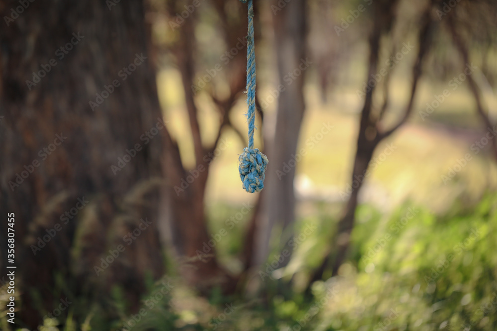 Rope with knot hanging from tree in natural bush setting. Outdoor nature activities. Rope with knot hanging from tree in natural bush setting. Outdoor nature activities.