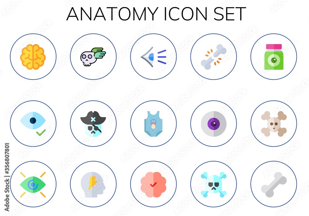 Fototapeta premium anatomy icon set